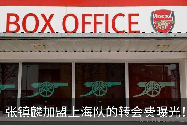 张镇麟加盟上海队的转会费曝光！