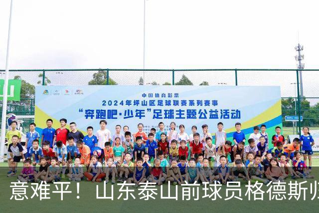 意难平！山东泰山前球员格德斯归化卡塔尔，他本有机会为国足献力